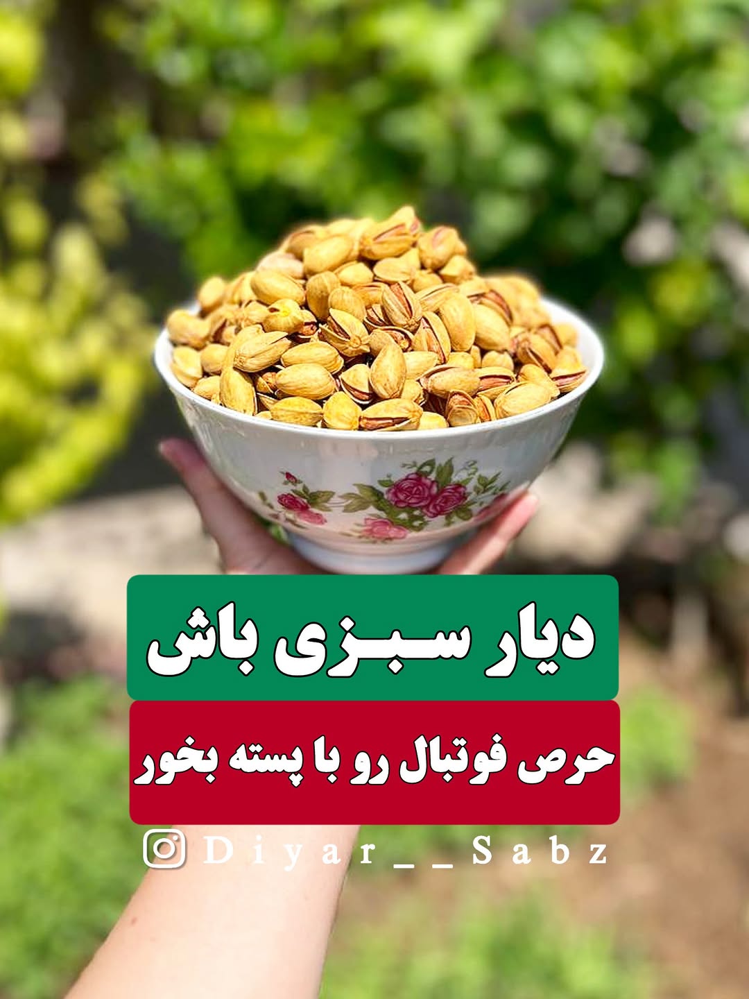 پسته اکبری